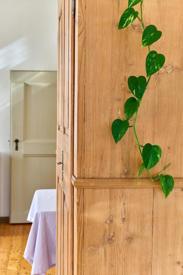 Bed and Breakfast Al Cavour 34 Trento Exteriér fotografie